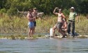 Rafting  -  Spust rijekom Dravom